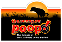 The Scoop On Poop
